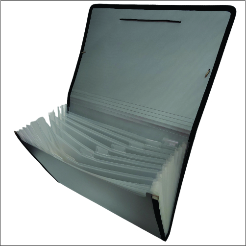 BF - 318 Plain Eagle PP Case with Compartments