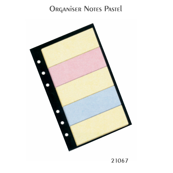 No. 21067 STRIP ORGINISER NOTES 3" X 1" MULTI PASTEL