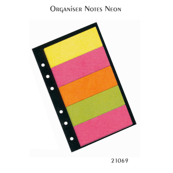 No. 21069 STRIP ORGINISER NOTES 3" X 1" MULTI NEON